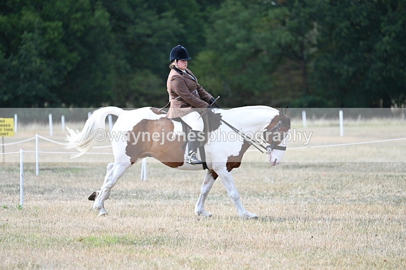 WJ7_7061 - Class 14 Ridden Coloured
