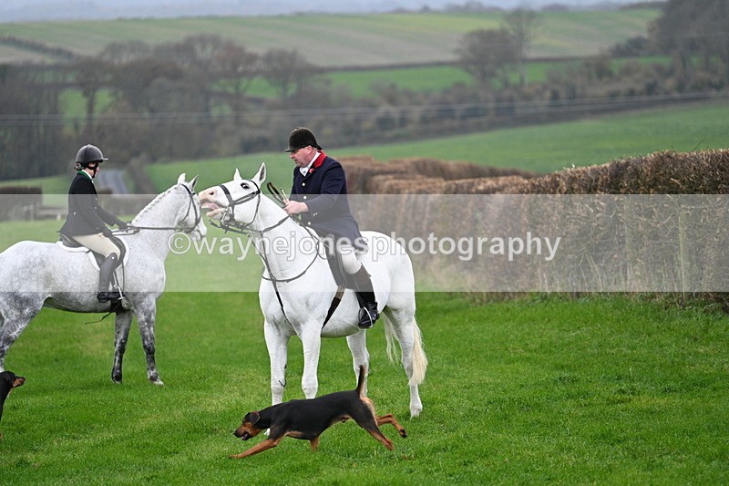 WJ7_8821 - Meet Staff & Hounds
