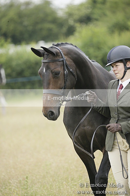 B230619-0230 - Bourne Valley Riding Club Summer Show 23/06/19