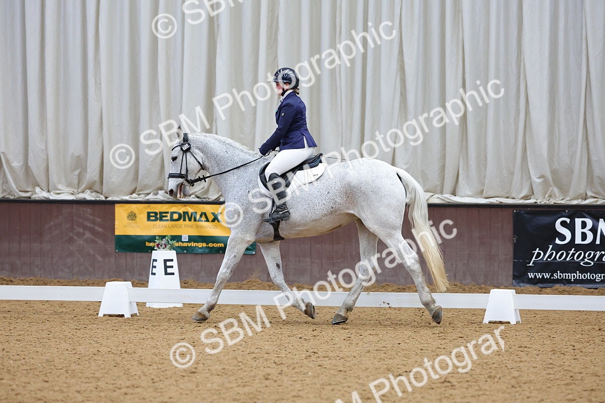 SBM_003695 - Novice
