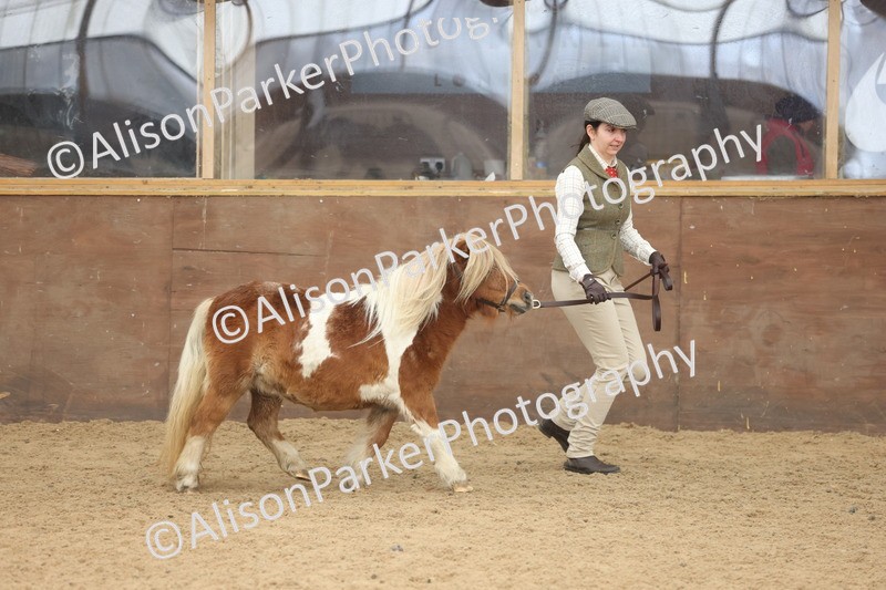 20251109-0301 - Class 13 - Mares 4 Years and Over