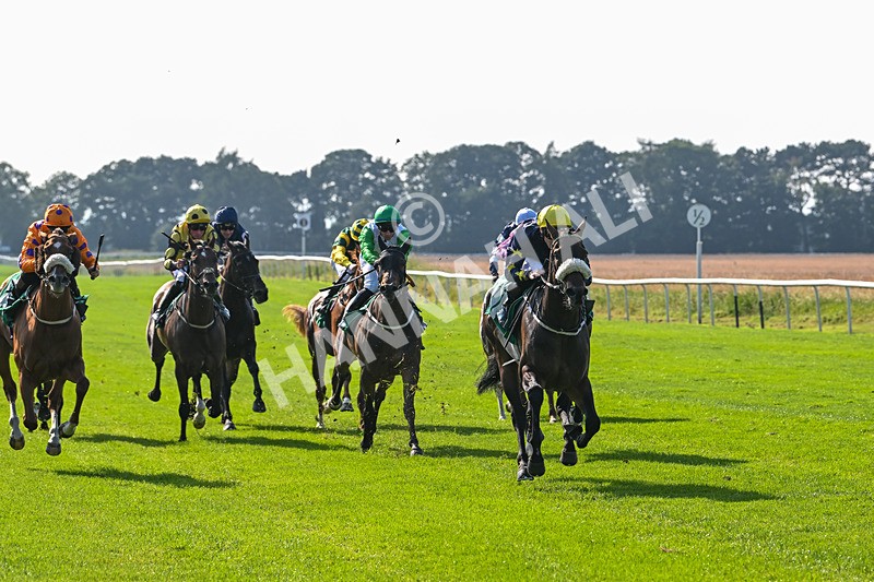 300824-Race 5-Shesashambles-6184 - Race 5