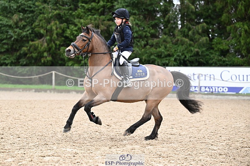 260222A-092501-00098 - 40cm Lead Rein and Assisted