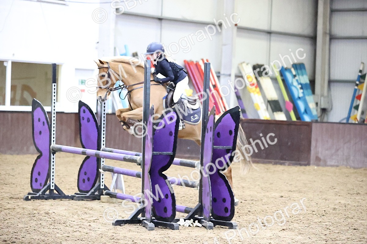SBM_000484 - Class 2 - Pony British Novice - 80cm