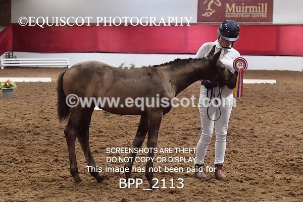 BPP_2113 - AFTERNOON 12.30 - 3.30PM