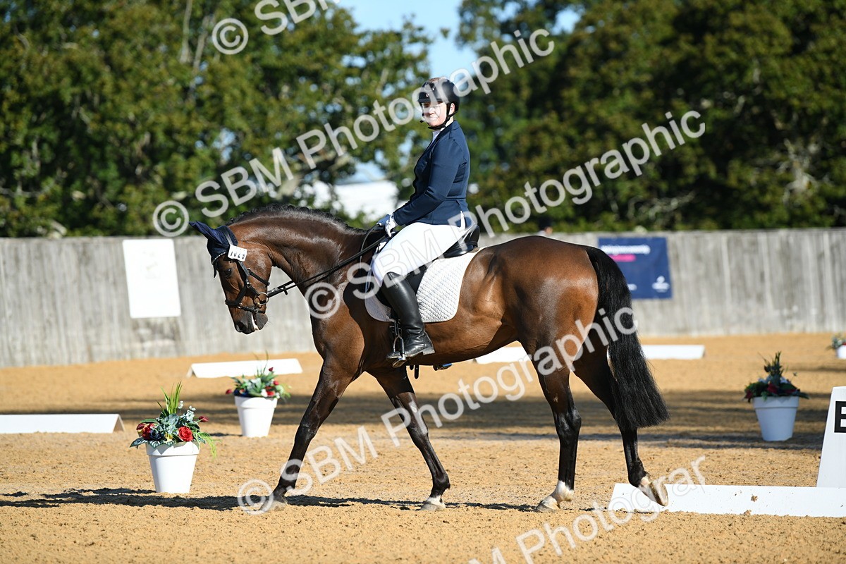 SBM_16170 - D4 - Small Tour Championship - Intro B