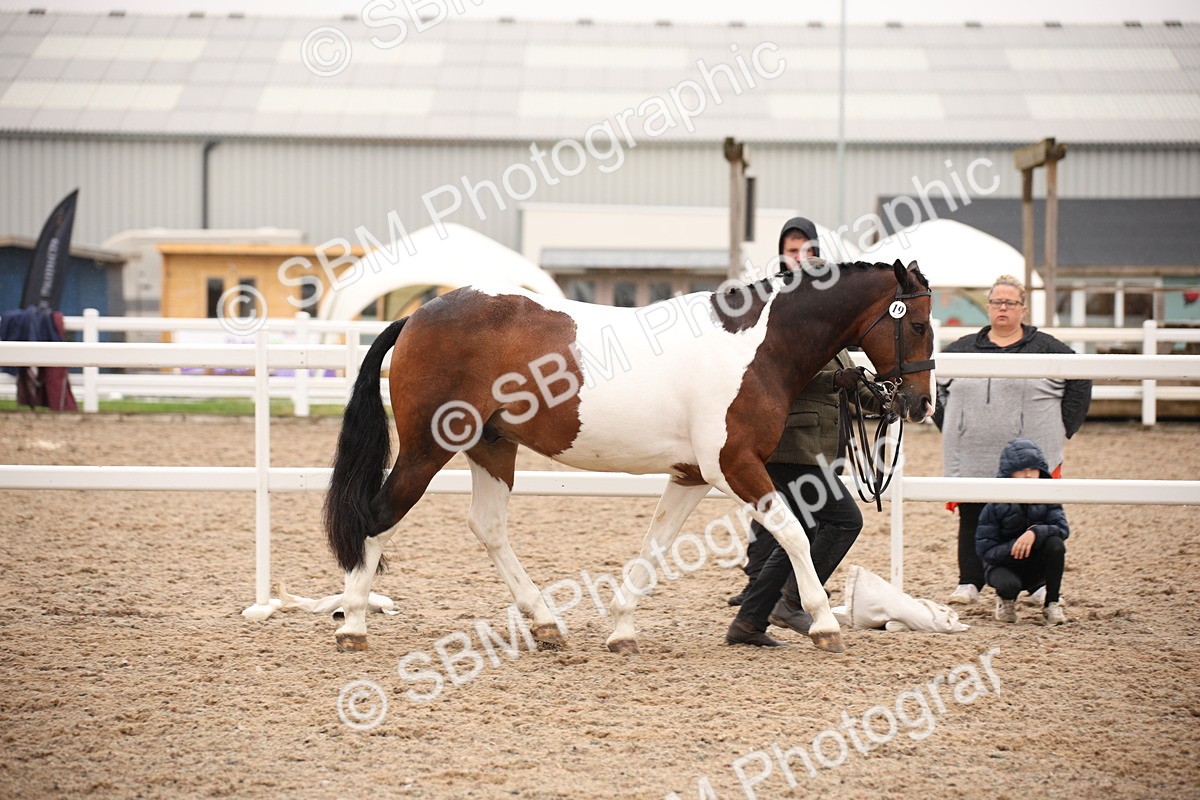 SBM_20172 - Class 703 - IH  Coloured