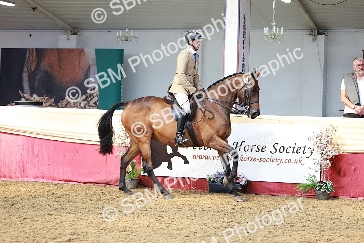 SBM_14892 - Class 108 - Ridden Retired Racehorse