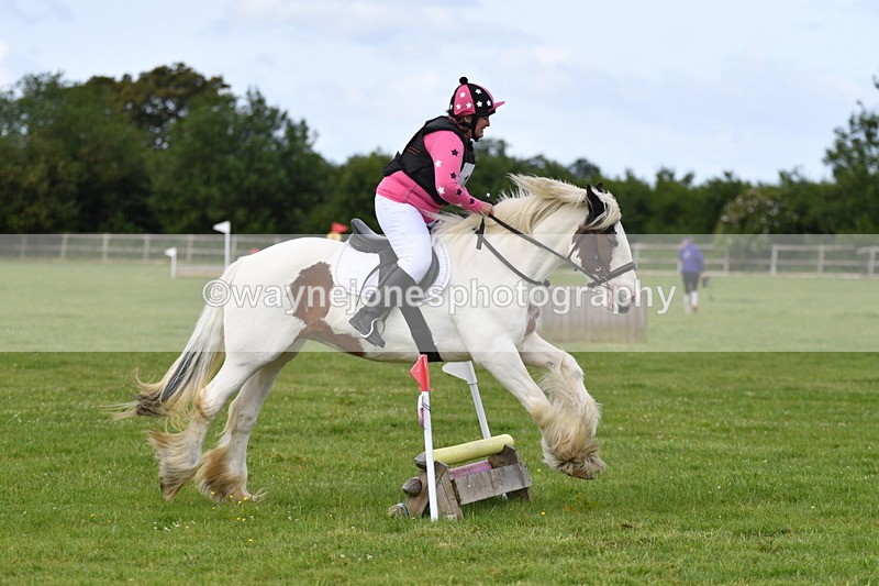 WJ5_2578 - Class 2 40cm