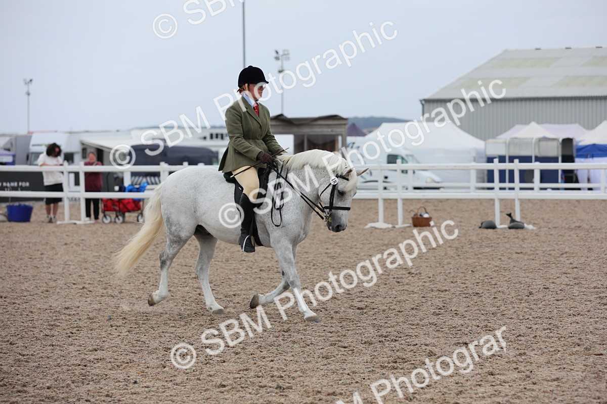 SBM_18073 - Class 316 Best Pony/Rider Combination