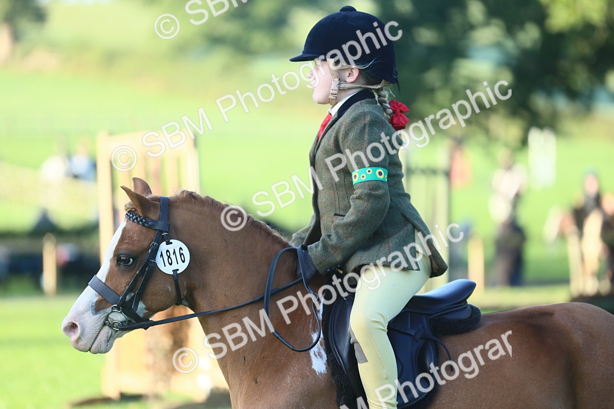 SBM_31825 - S28 - Nursery Stakes Working Hunter Pony