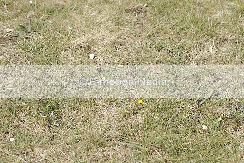 BVHT 140517 I-762 - Class 1 SJ Intermediate 14/05/17