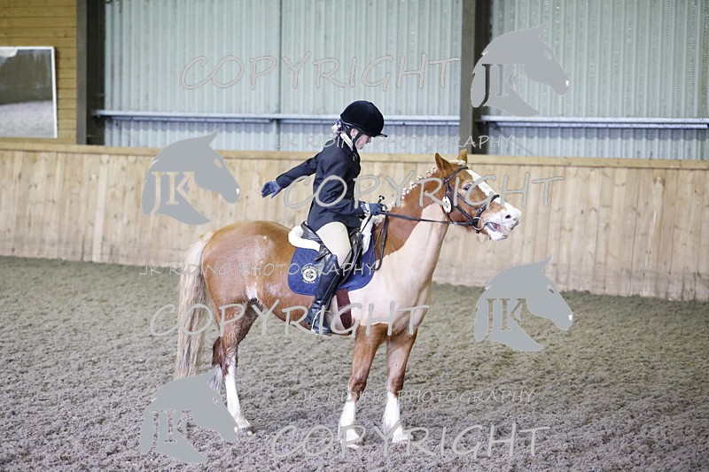 _R6A1384 - Class 1 walk trot 2022