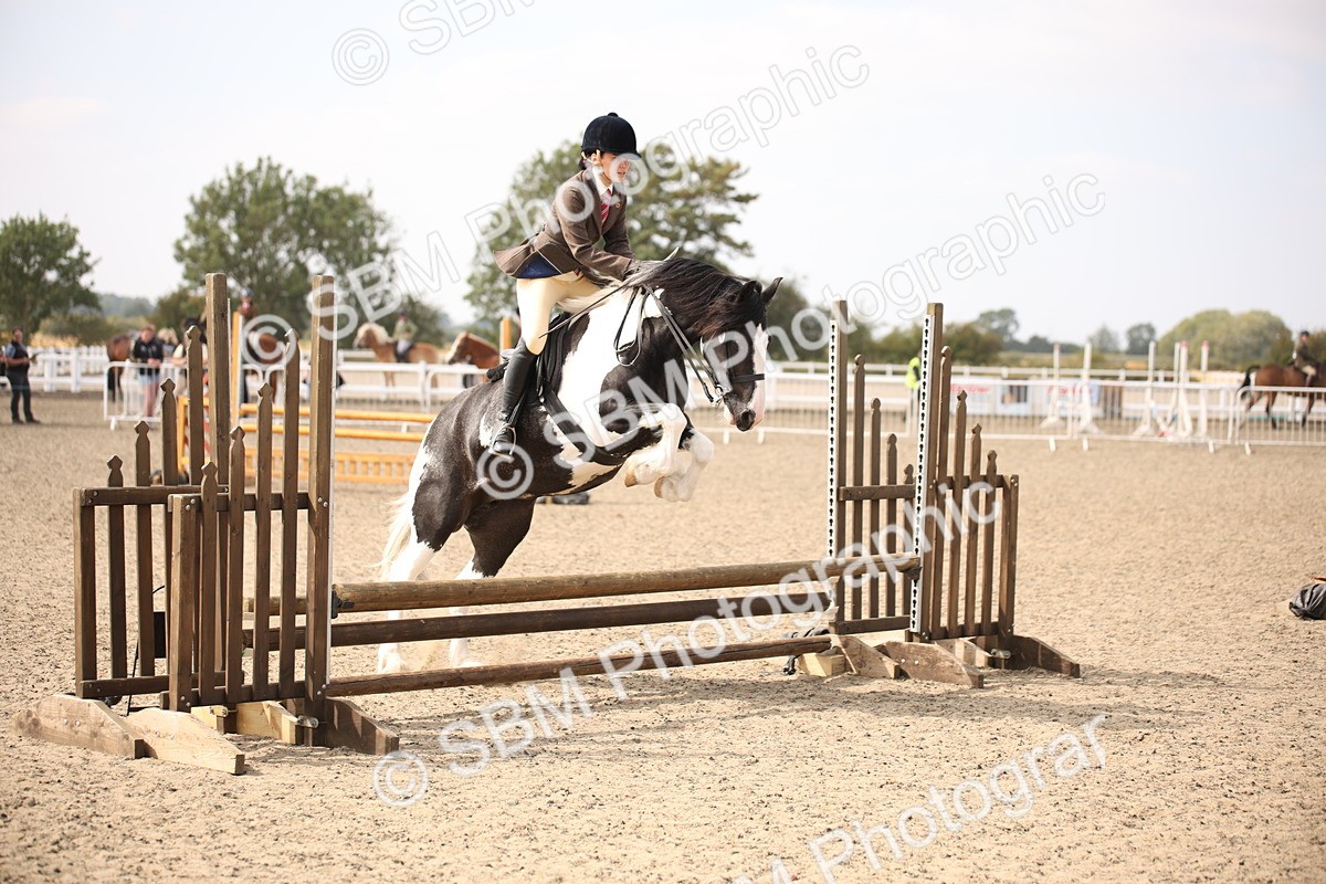 SBM_14978 - Class 408a - Working Veteran 70cm (15-19