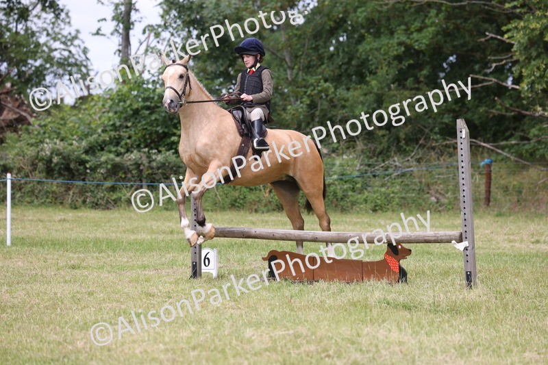 20260614-2957 - Class 22 - Open Working Hunter