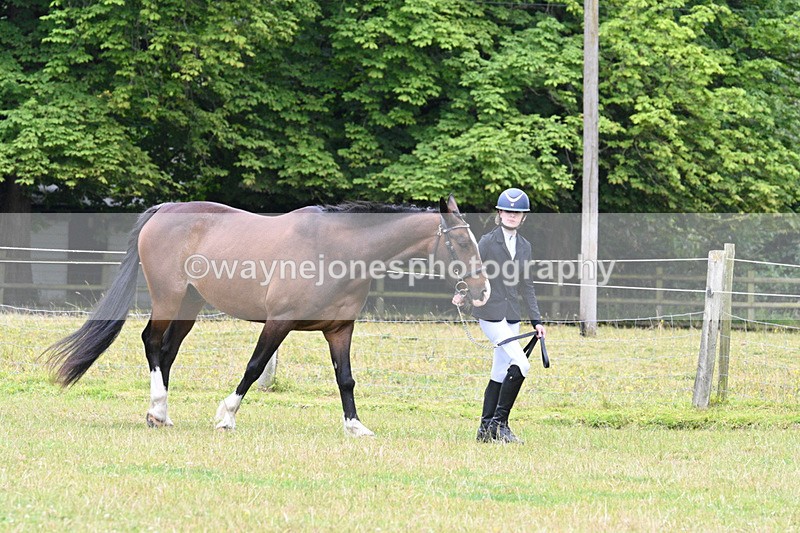 WJ7_7245 - Champs