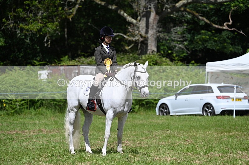 WJ7_1863 - Class 9 Pony Club Pony