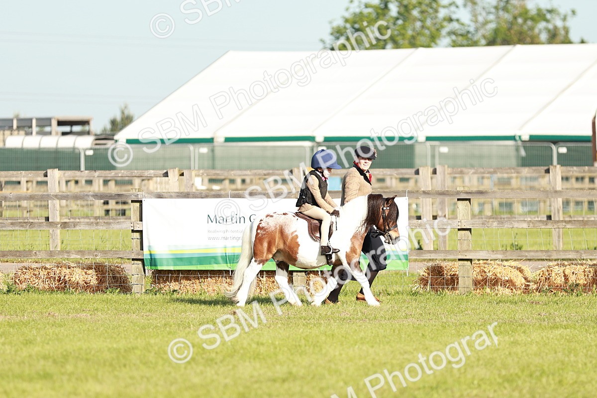 SBM_11065 - Class 106-107 - BSPS LIHS Working Sports Pony
