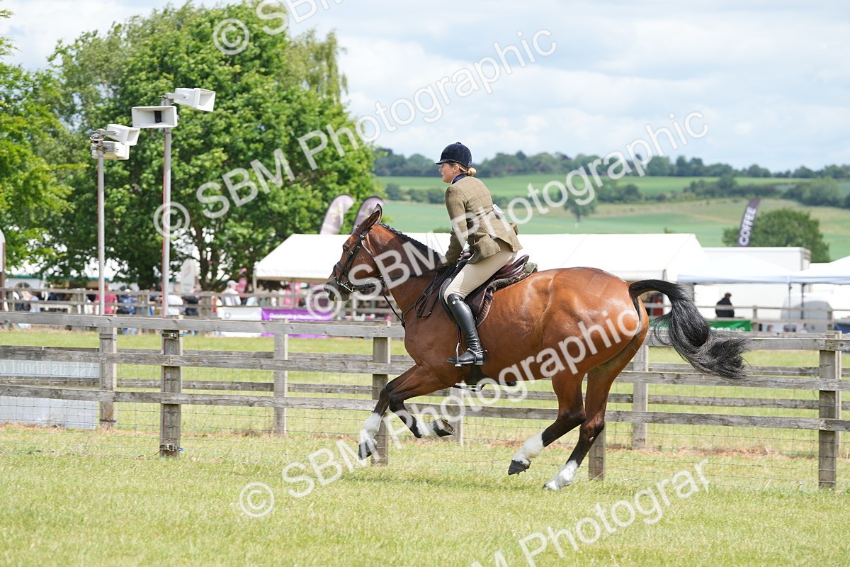 SBM_15024 - Class 100-102 - RIHS Working Hunter