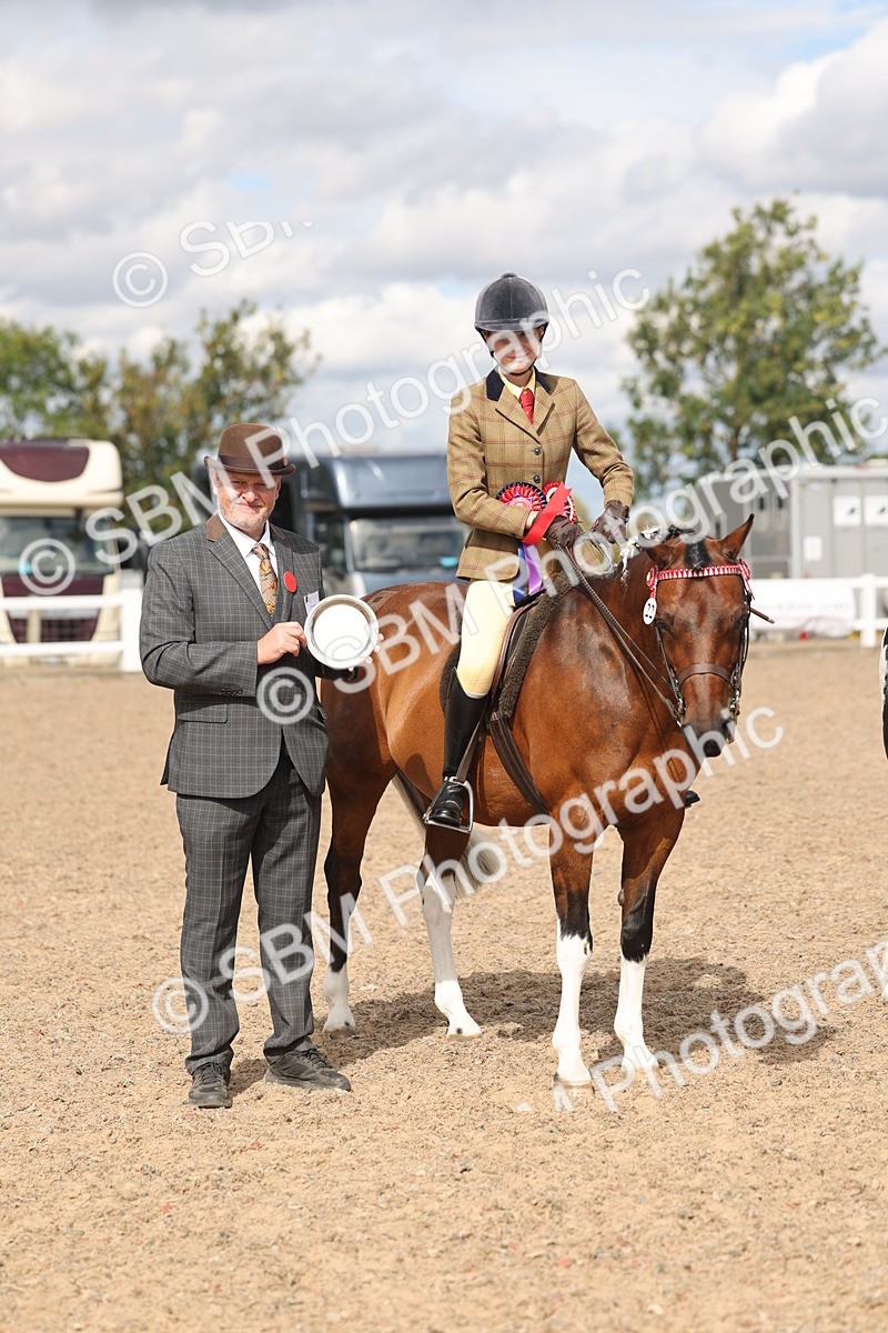 SBM_14671 - Class 307 - Ridden Coloured Pony
