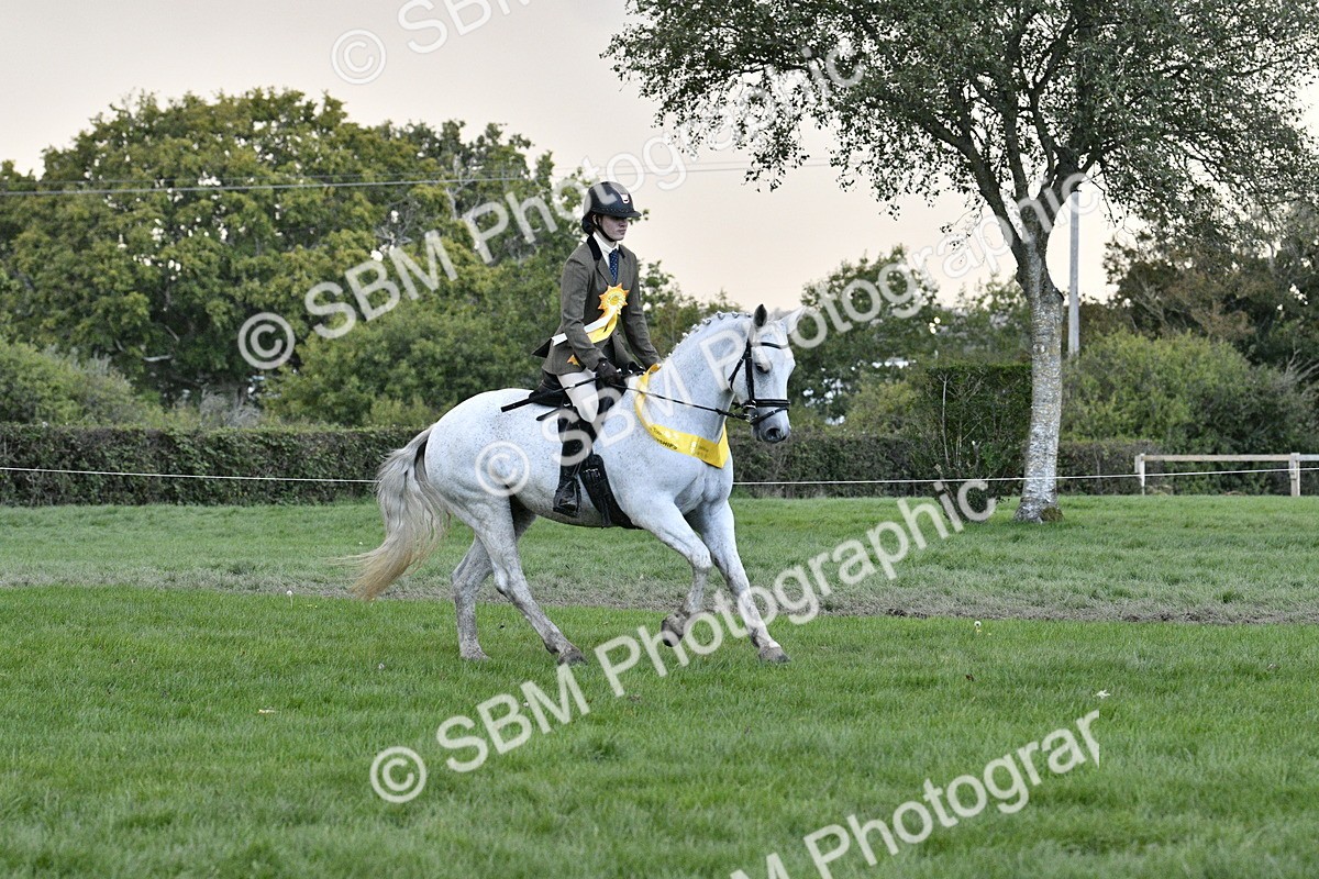 SBM_53309 - S14 - Riding Club Horse