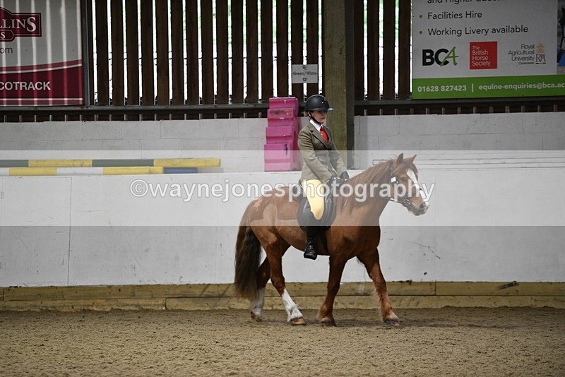 WJ5_8208 - Class 14 Novice Ridden/Rider