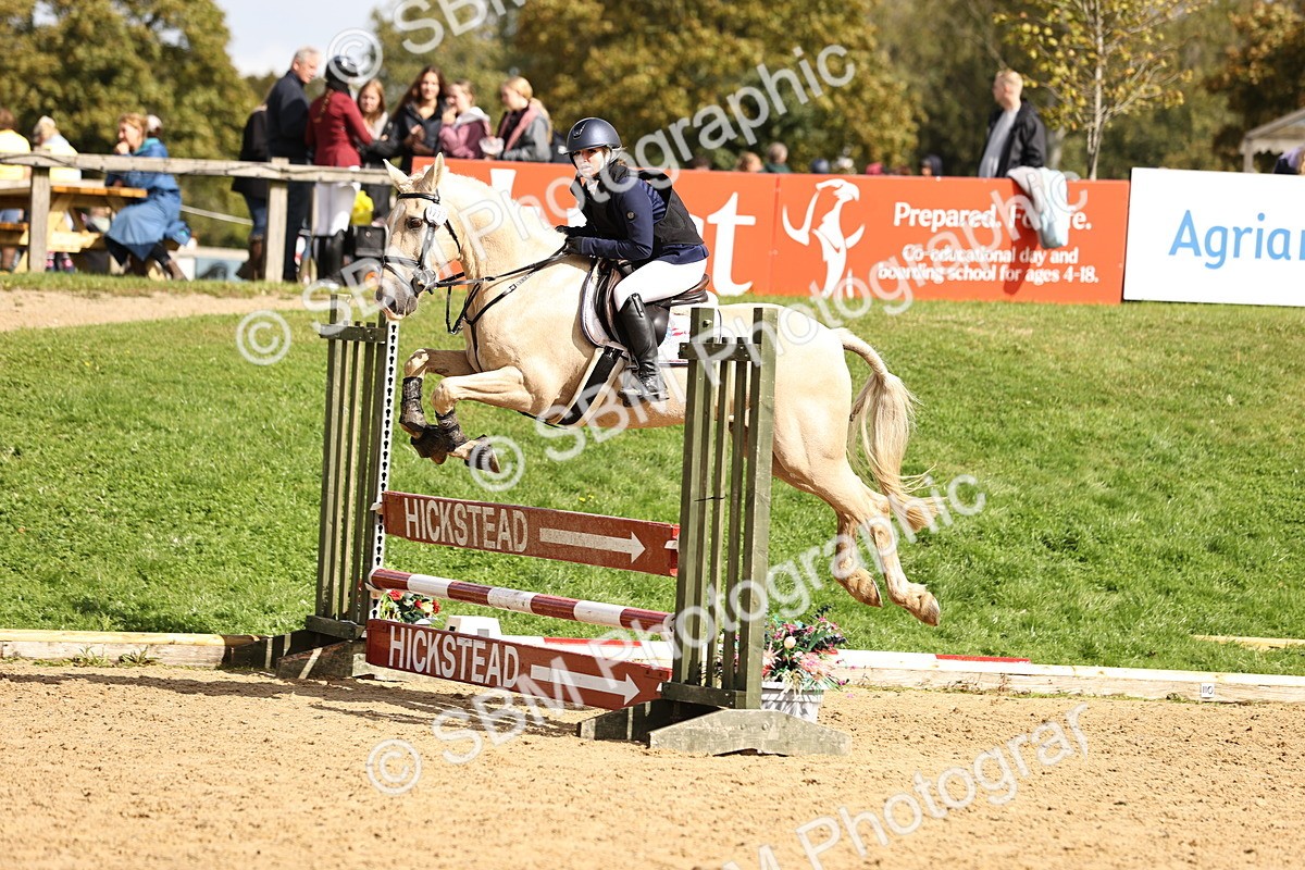 SBM_41145 - J40 Senior Horse & Pony 90cm Supreme Championship