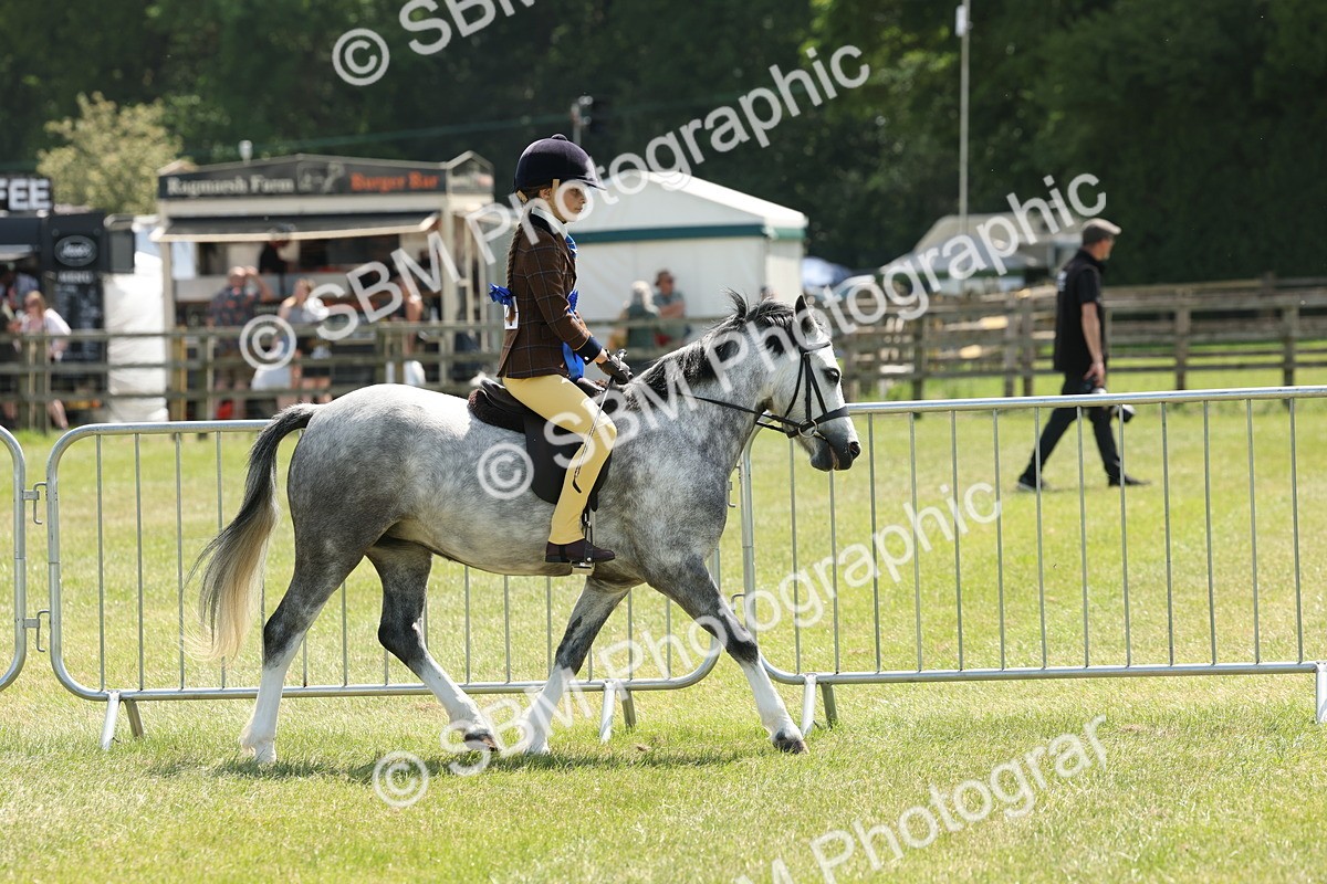 SBM_05395 - Class 24-25 - Mountain & Moorland In Hand Lead Rein and First Ridden