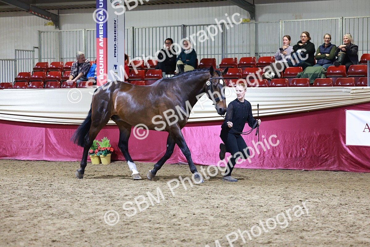 SBM_21199 - Class R - Veteran Champ