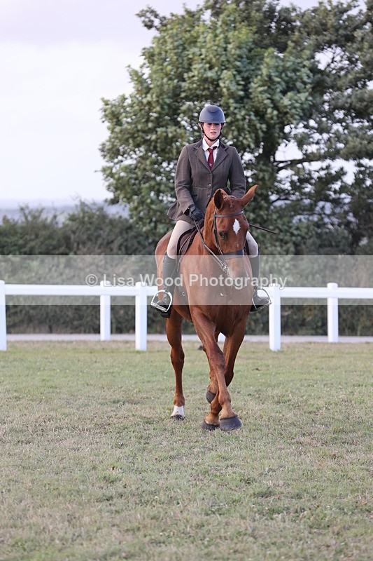 JPP_3684 - Class 24: Open Working Hunter