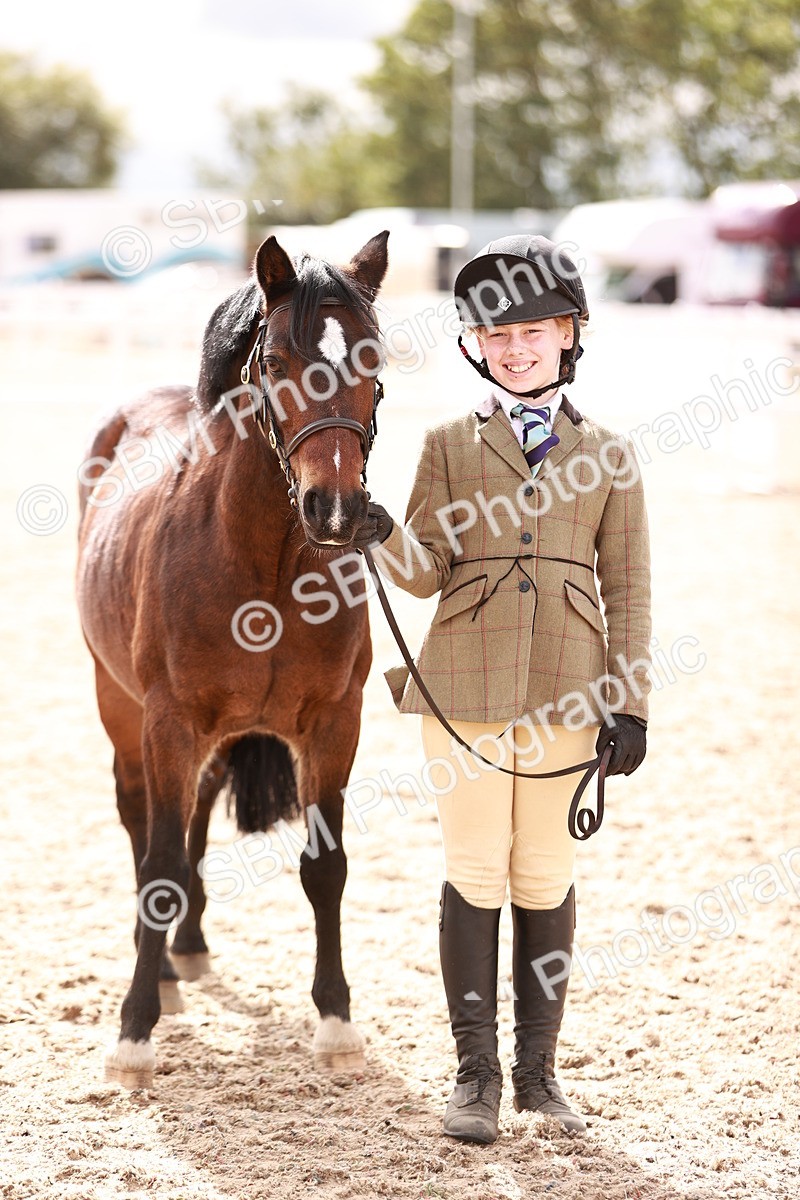 SBM_18350 - Class 417 - Handsome Gelding (IH or Ridden - JNR)