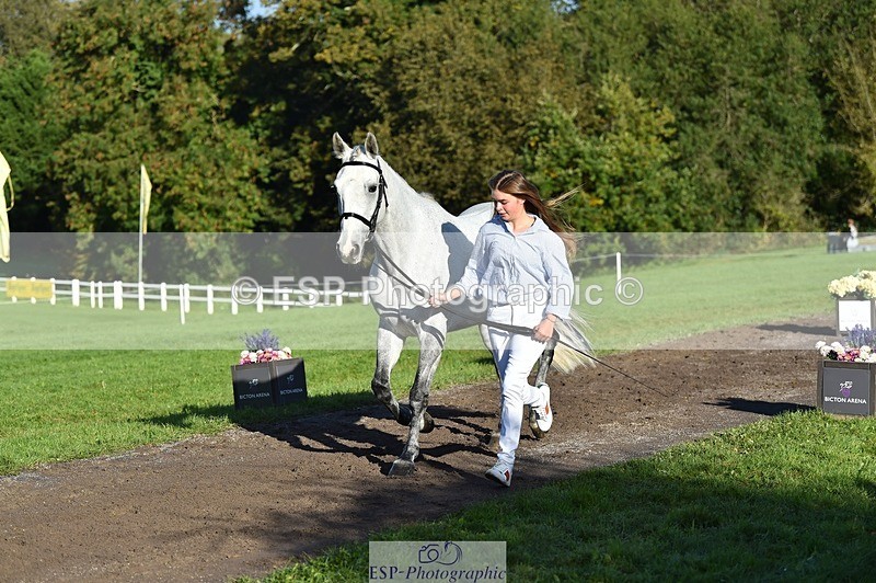 231022-101224-22304 - 479-CRUISING.STARLIGHT-Ava.Mae.West-TrotUp+SJ