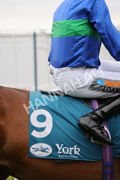 yr22072022r4-8 - Race 4 6.50pm The IRE Incentive It Pays To Buy Irish EBF Restricted Novice Stakes