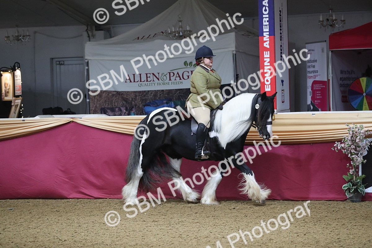 SBM_10345 - Class 102 Equitation (best rider) Adult