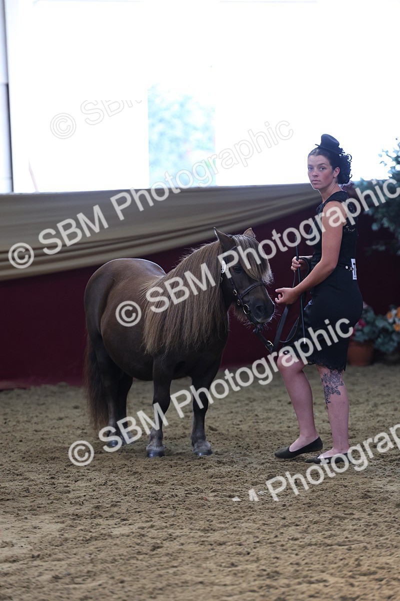 SBM_22555 - Class 902 - Supreme Final - IH Diamond