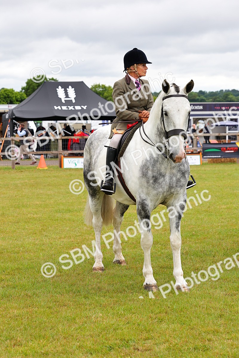 SBM_02554 - Class 9-11 Side Saddle including LIHS Rising Star Ladies Show Horse