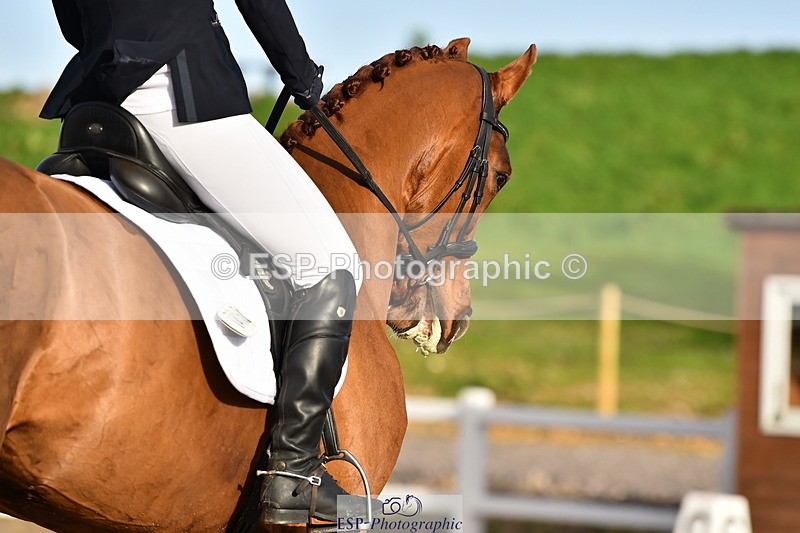 231104A-135110-01938 - Cls 10 Medium 61