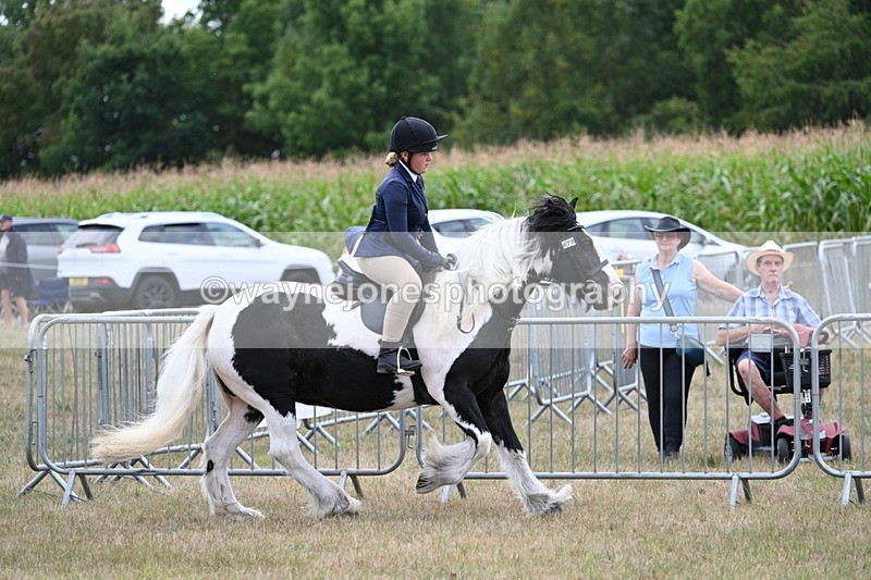 WJ7_5338 - Class 12 Ridden Cob