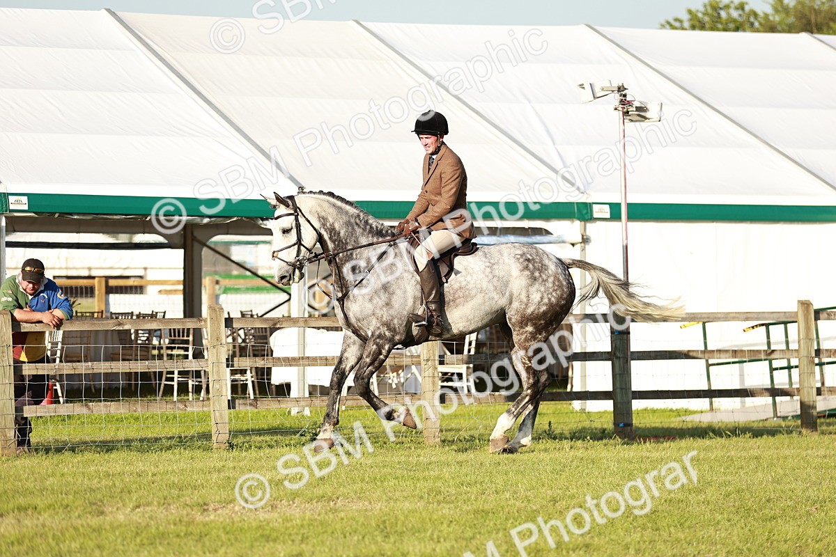 SBM_20472 - Class 117-119 - Sport Horse Working Hunter