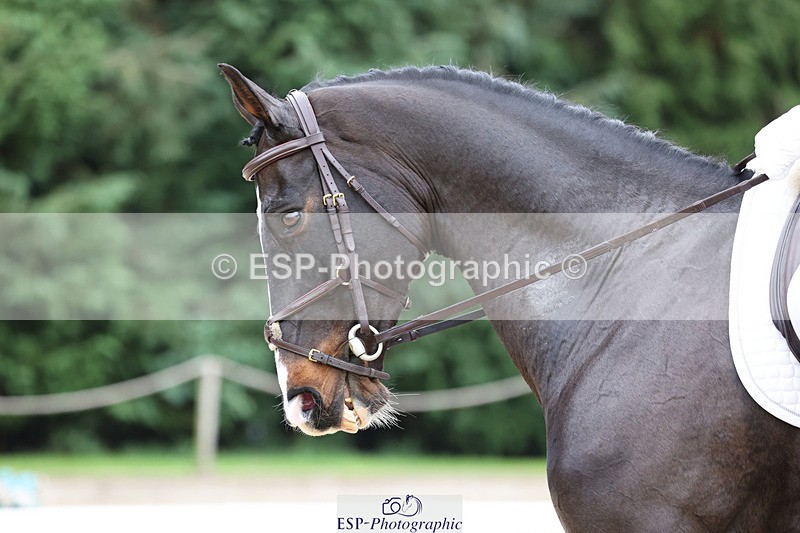 241024-142230-04067 - 226-Matteo.Gallucci-CASTLERICHMOND.WILLIAM