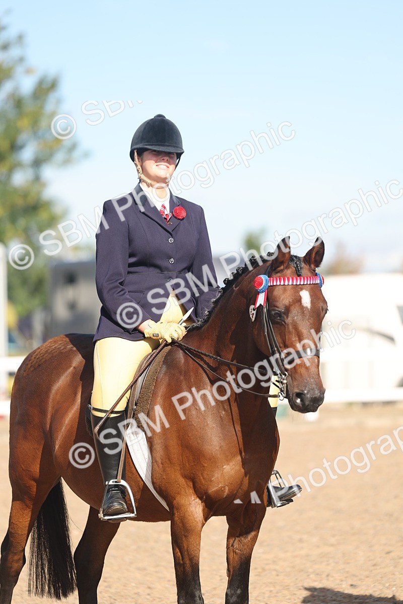 SBM_12367 - Class 304 - Ridden part Bred Horse Pony