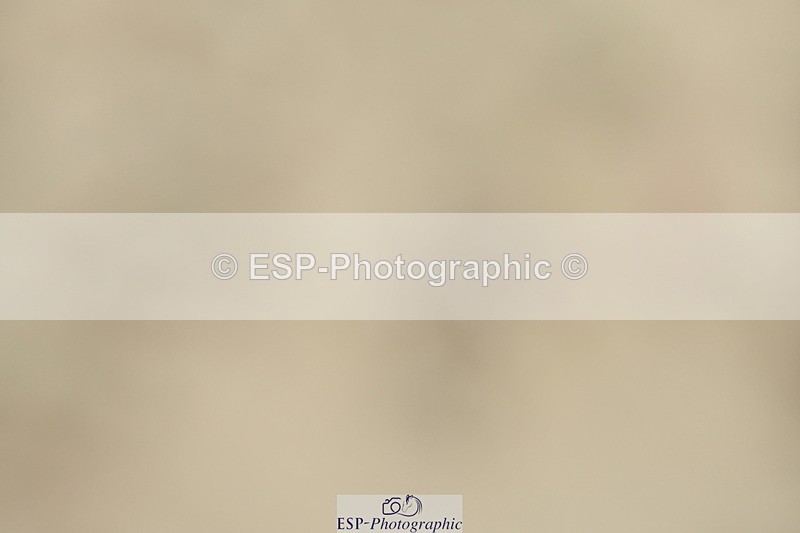 230702A-132744-09519 - Cls 29 Elementary 57