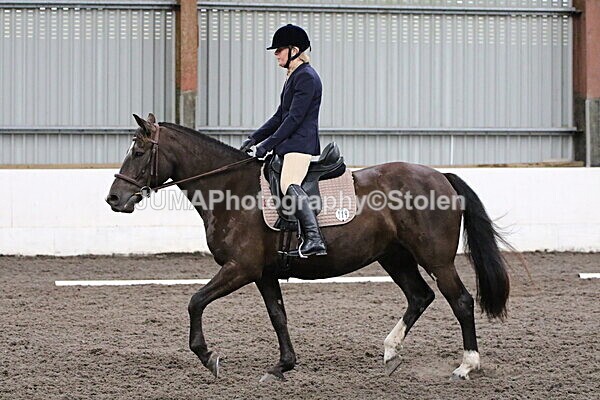 SIAL4687 - CAbin Dressage 5th july 2025