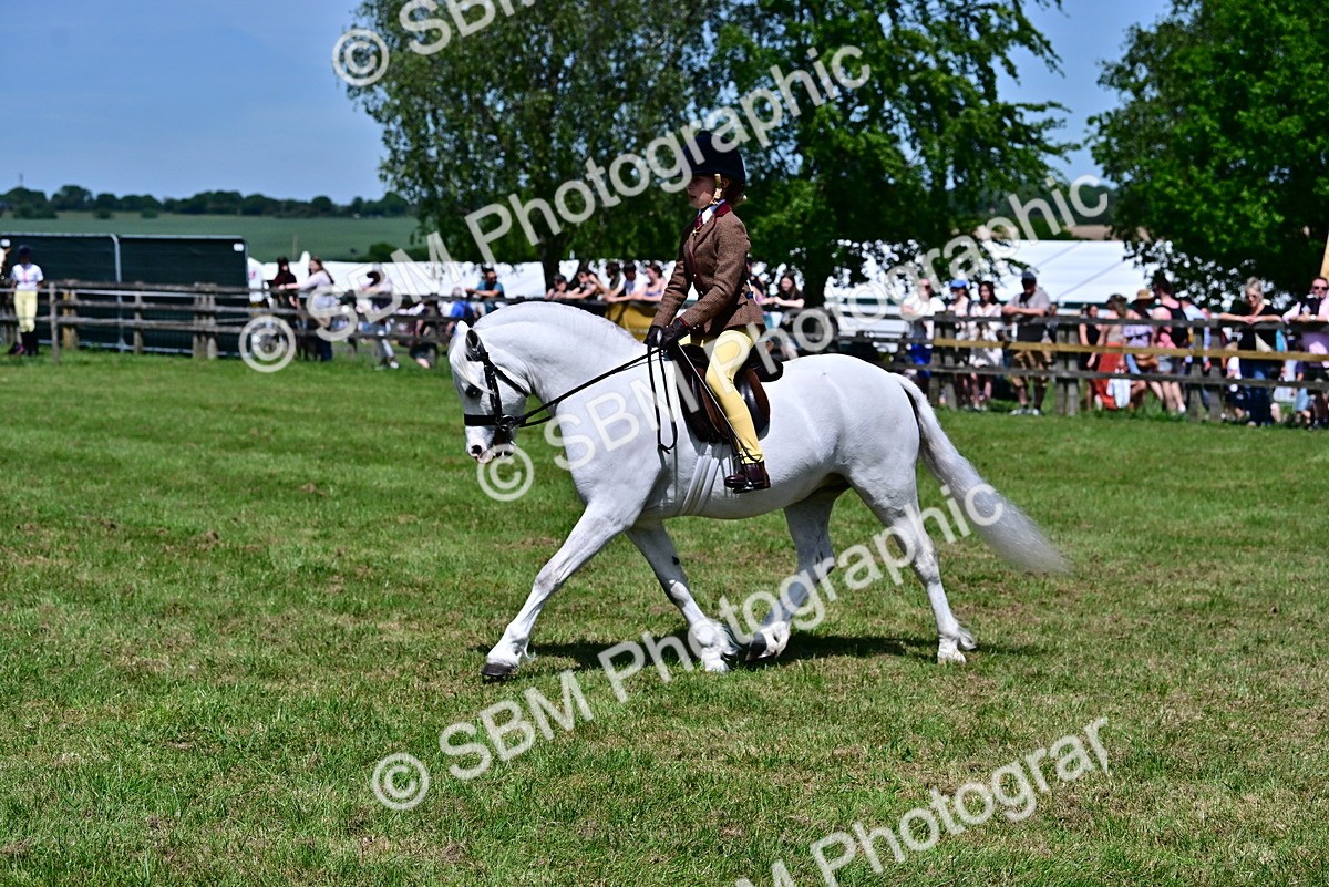 SBM_06059 - Class 59-60 - TSR M&M  Lear Rein and First Ridden Amateur of the year
