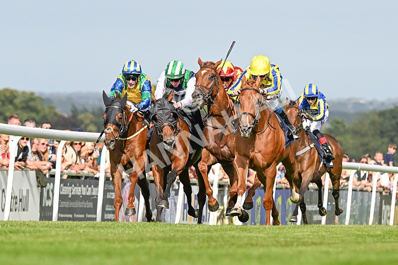 140824-Race 6-Glistening Nights-3860 - Race 6