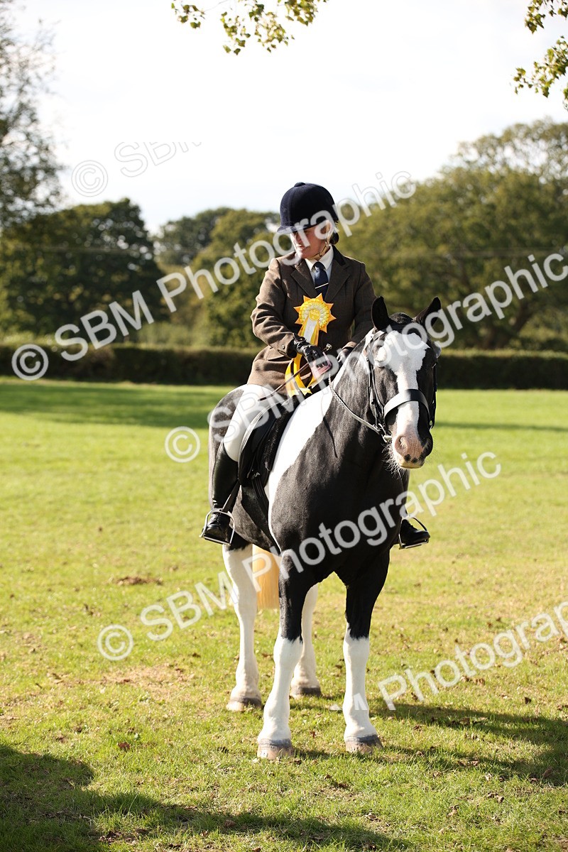 SBM_50094 - S26 - Young Veteran - Ridden