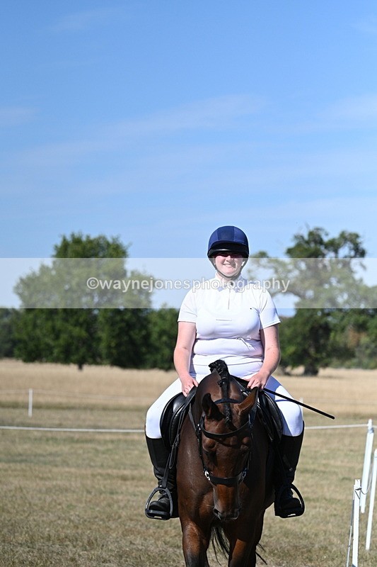 WJ7_1523 - Class 42 Most Handsome Gelding
