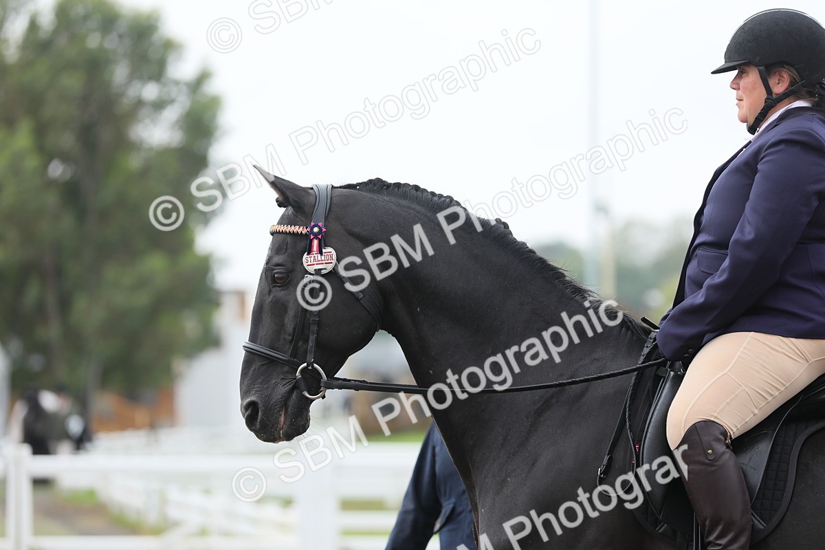 SBM_21300 - Class 805 - Ridden Veteran Horse