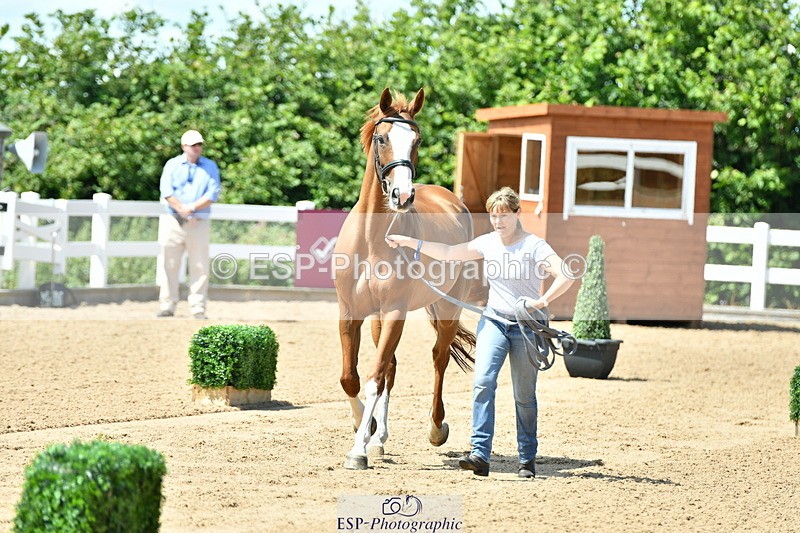 230719A-120634-00098 - Trot Up 12pm to 1pm