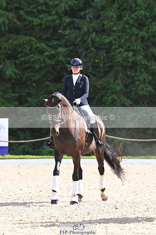 240809-162352-02337 - Preliminary Gold